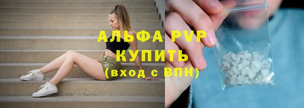 стаф Медногорск