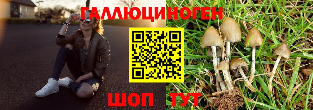 Сызрань  Псилоцибиновые грибы Psilocybe  Галлюциногенные грибы мухоморы  Вход с VPN 